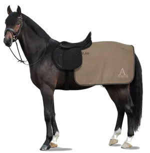 Alborak Stable 'Kiel' Quarter Sheet