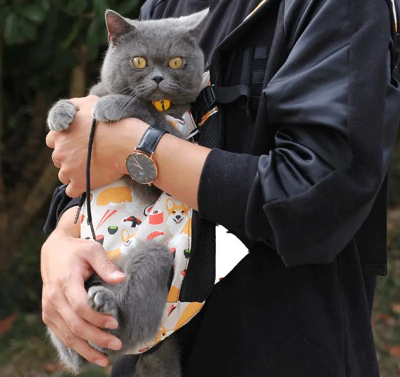 Breathable four legged dog backpack
