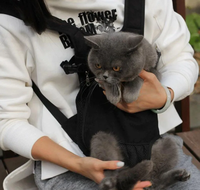 Breathable four legged dog backpack
