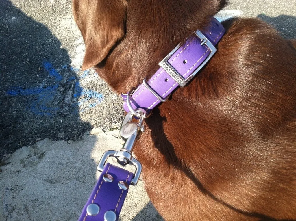 Brookenjack Waterproof Dog Leashes
