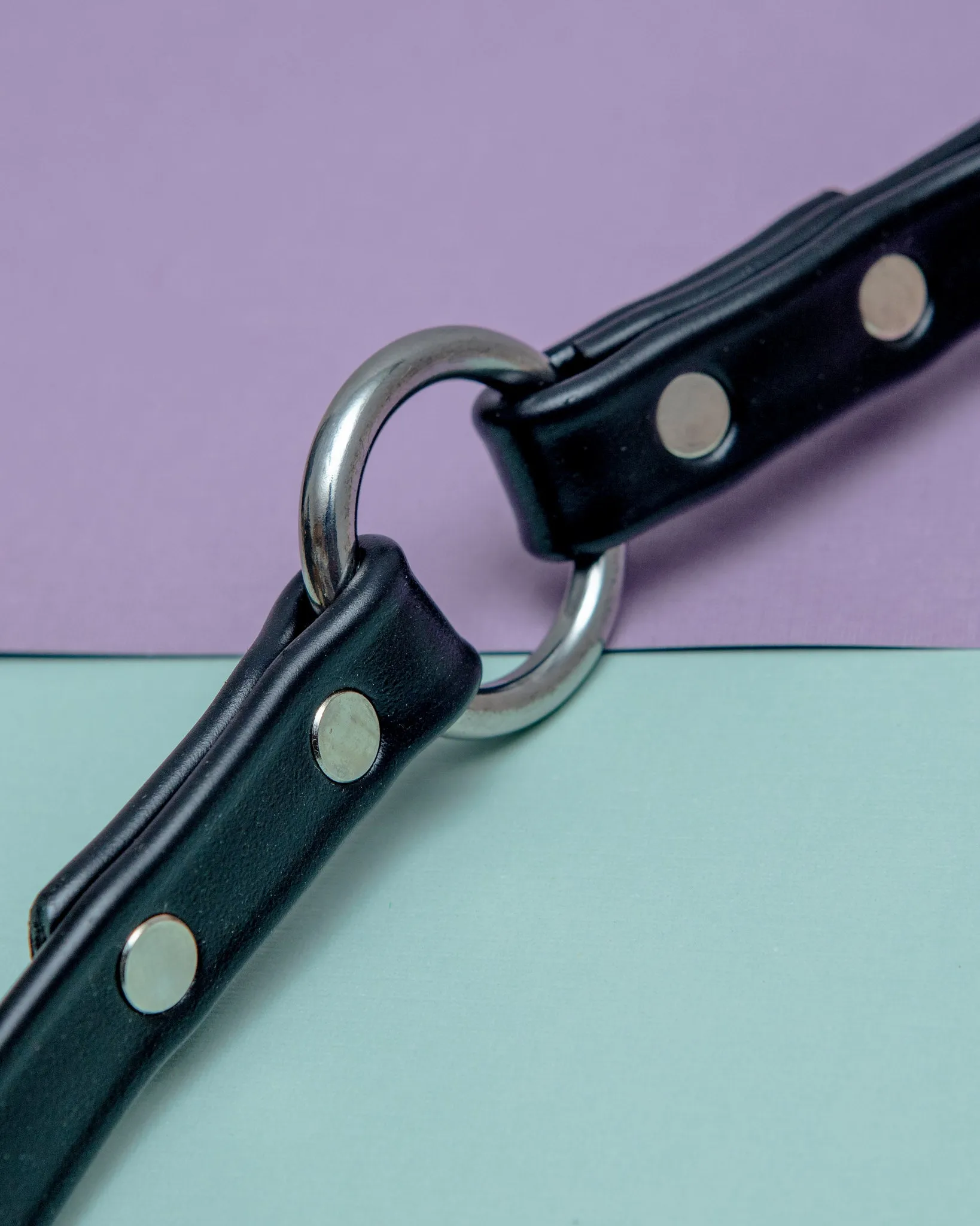 City Leash in Basic Black (Made in the USA)