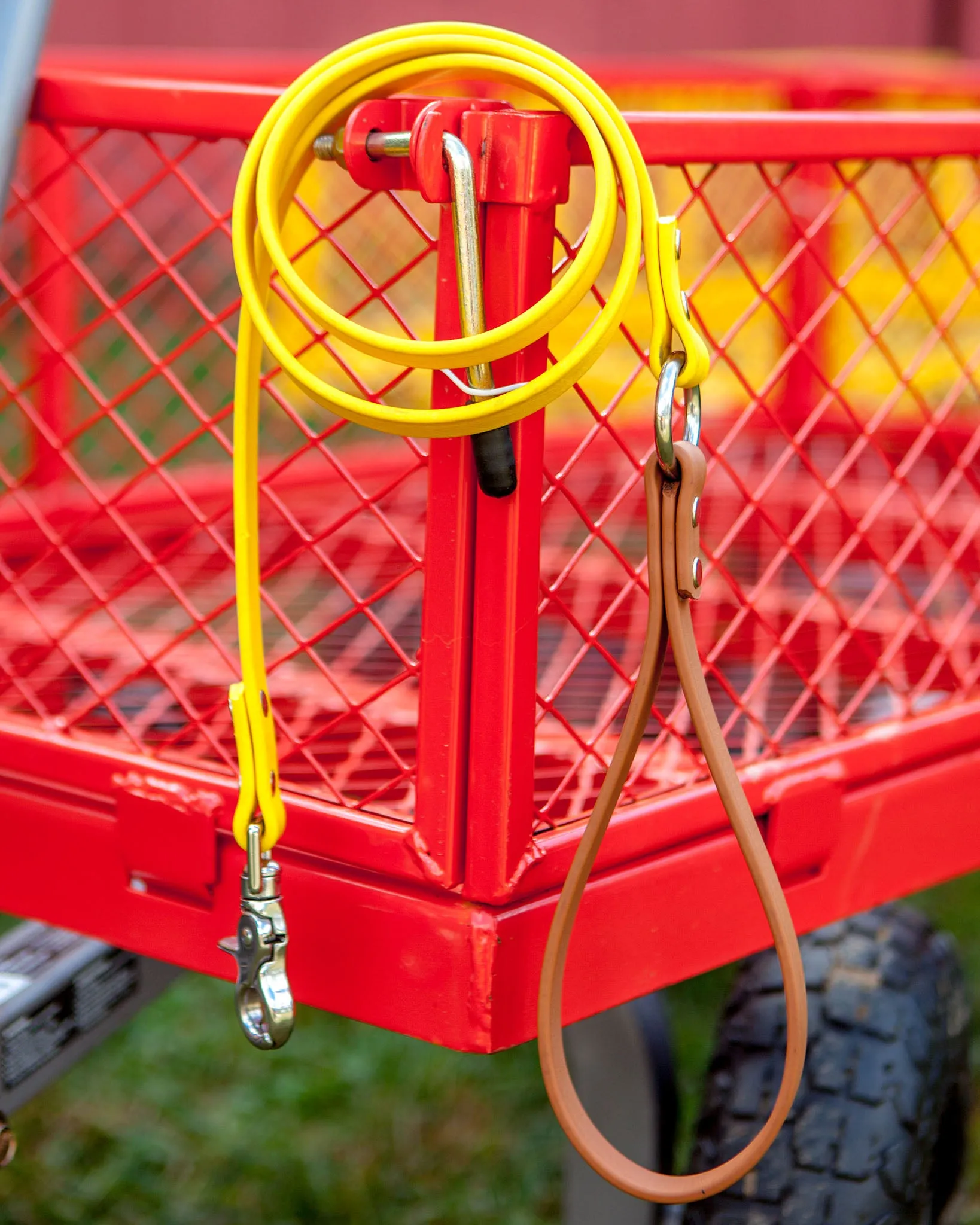 City Leash in Gold & Tan (FINAL SALE)