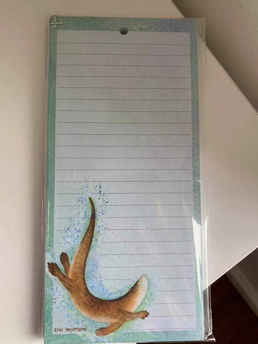 Magnetic Pad