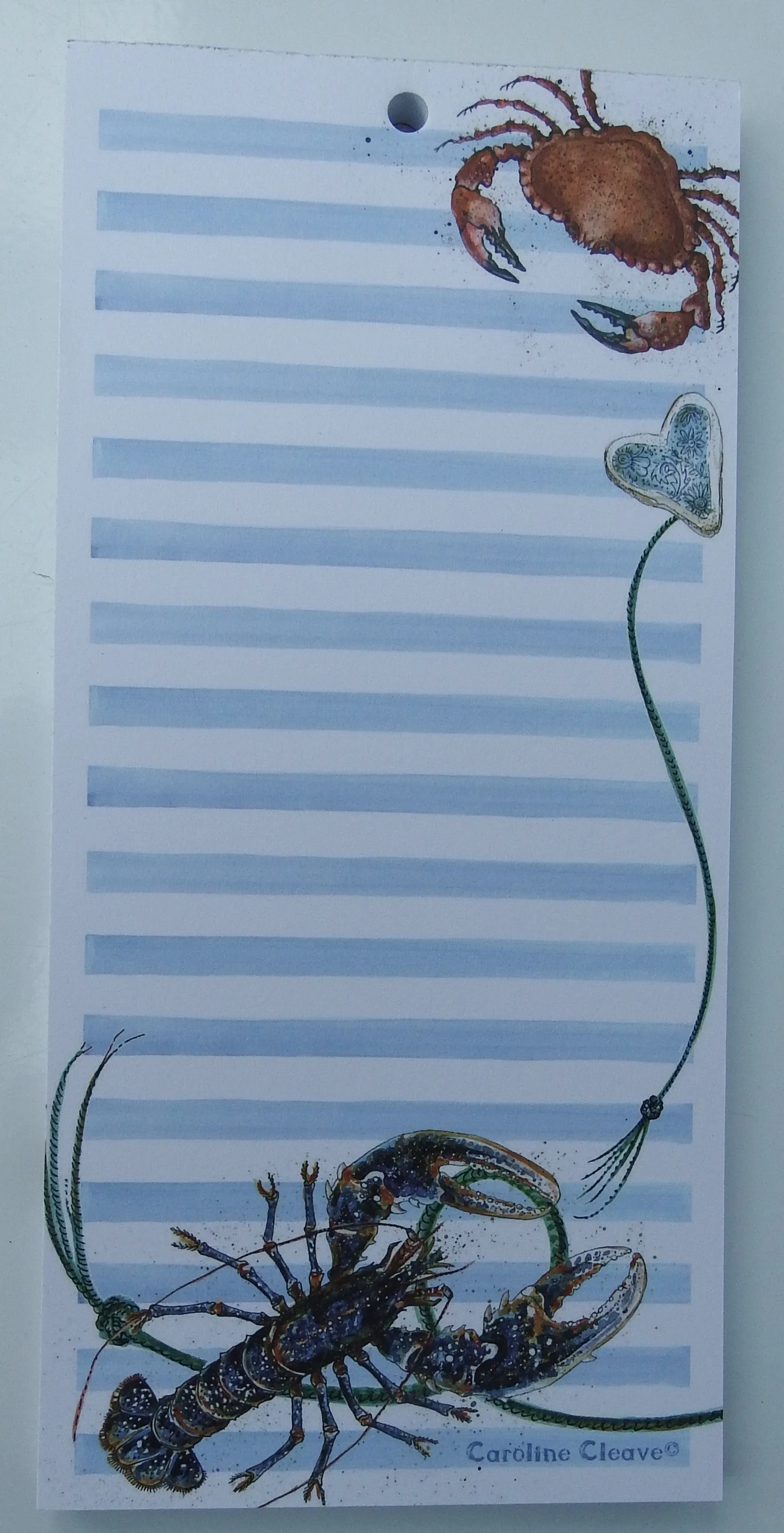 Magnetic Pad