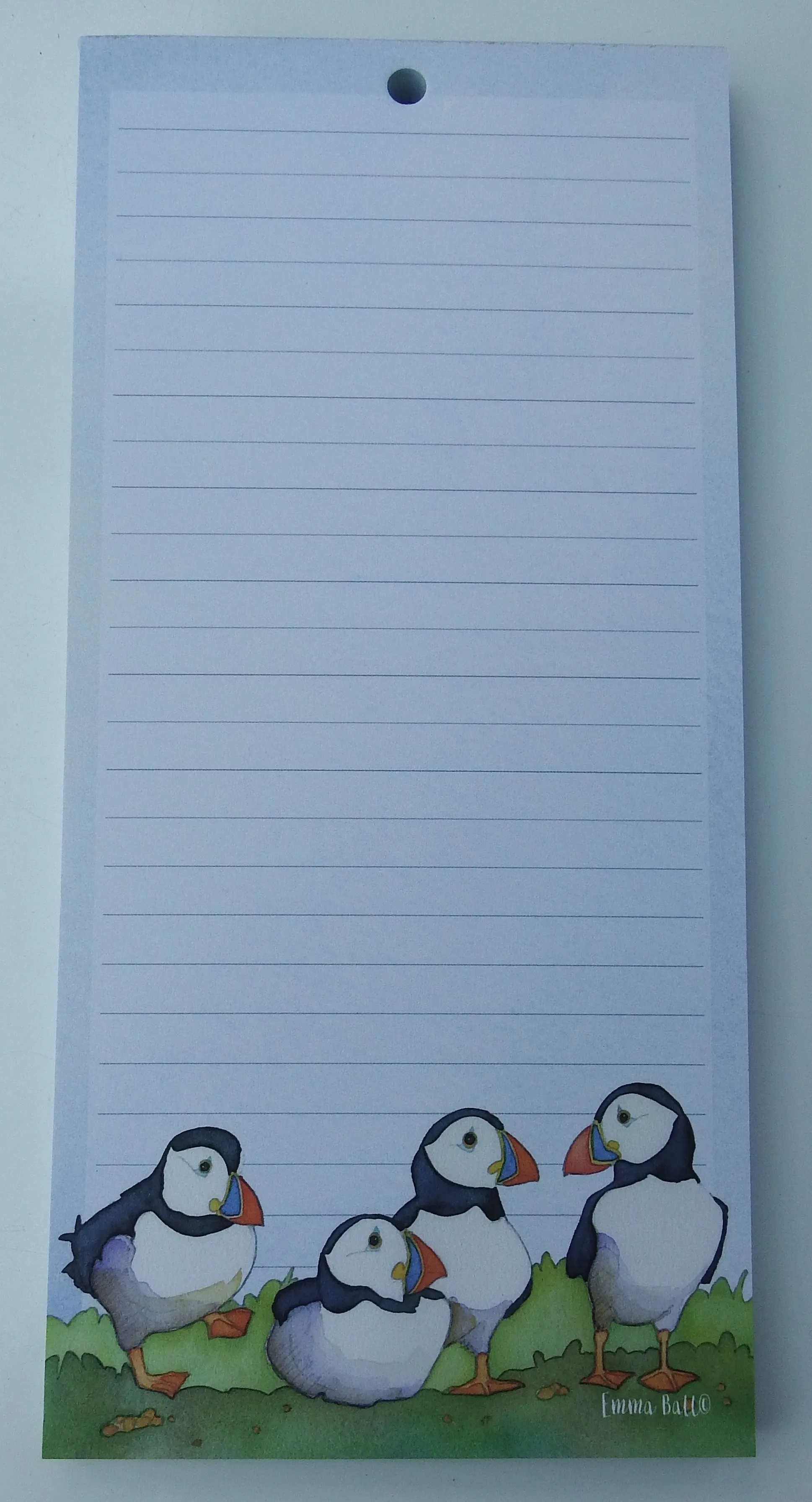 Magnetic Pad