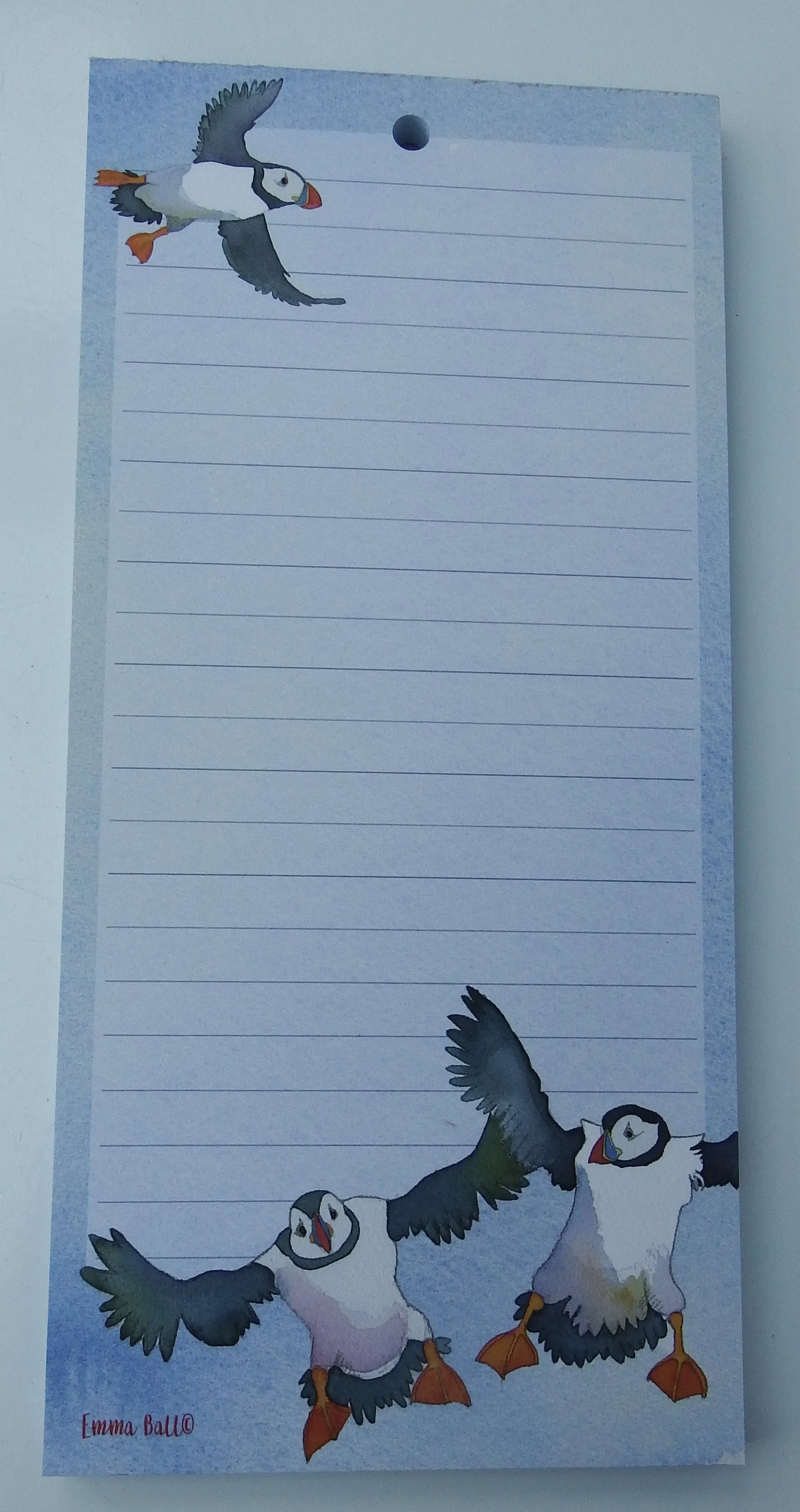 Magnetic Pad