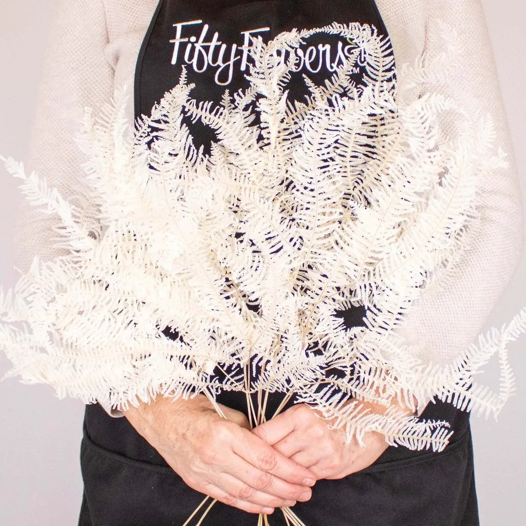 Natural Dried Mini Fern