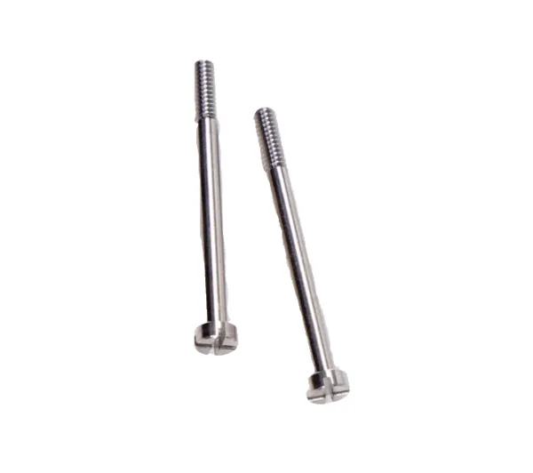 T10/T16/T20/T20P/T30/T40/T50/T60 Spray Tank Fixing Piece Roller
