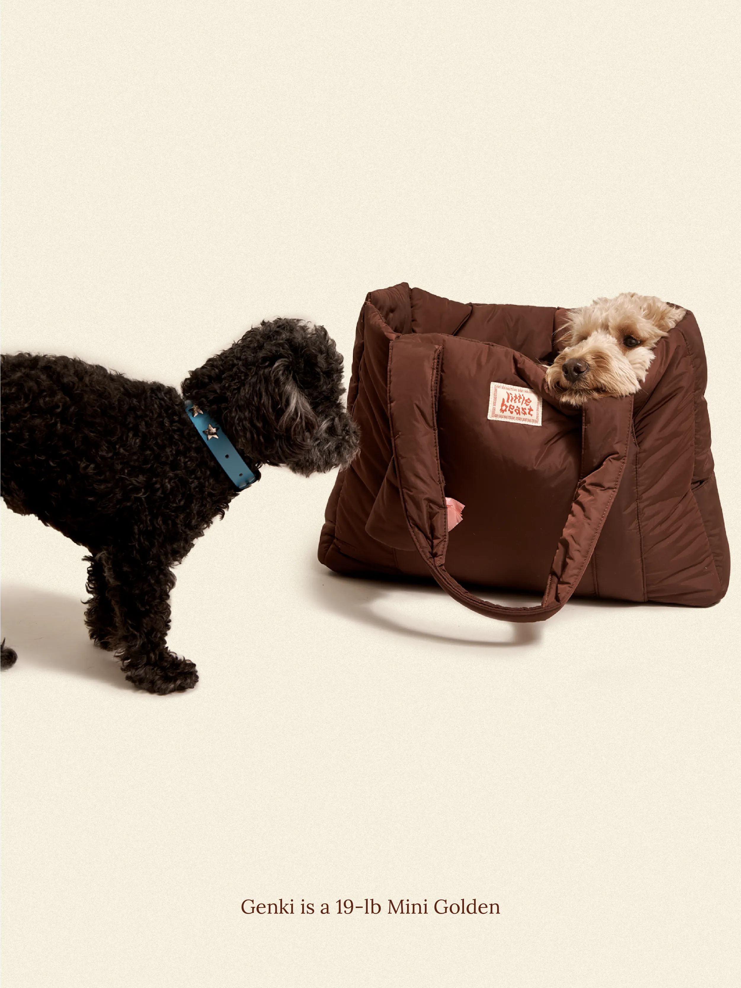 The Little Beast Carrier - Hazel