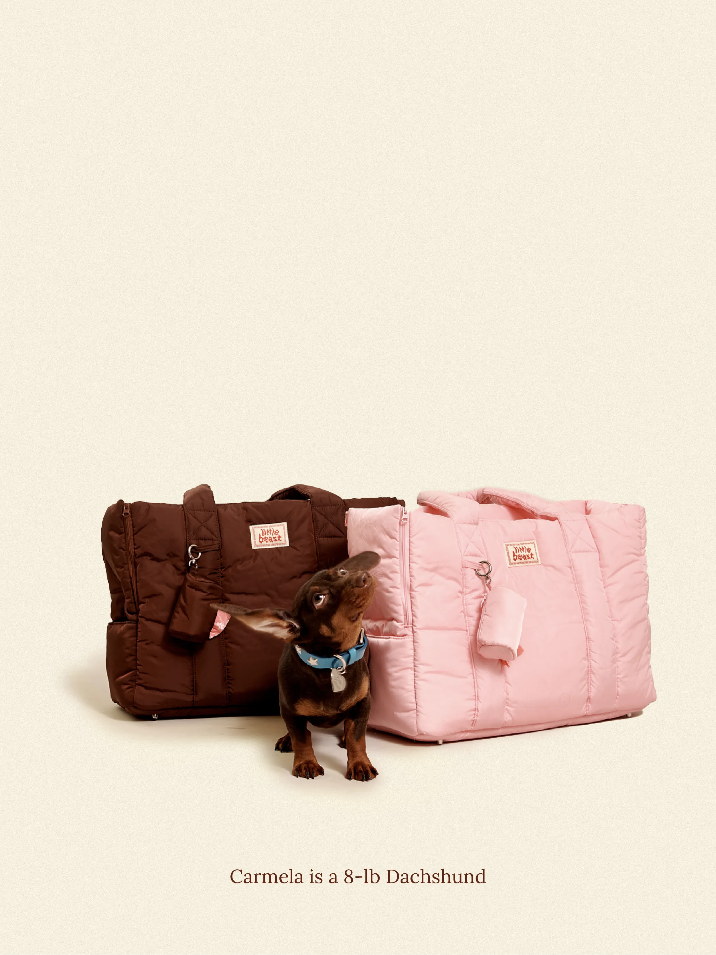 The Little Beast Carrier - Hazel